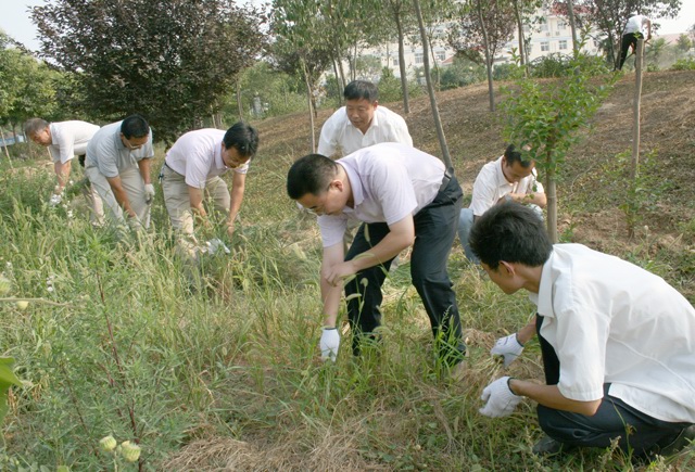 集團(tuán)公司黨員義務(wù)勞動(dòng)迎七一